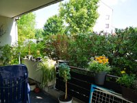 IMG-20190628-WA0003